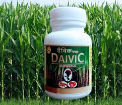 Daivic Capsule — Smart Agro Private Limited