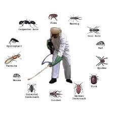 Household Pest Control — PRIME PEST CONTROL SERVICES