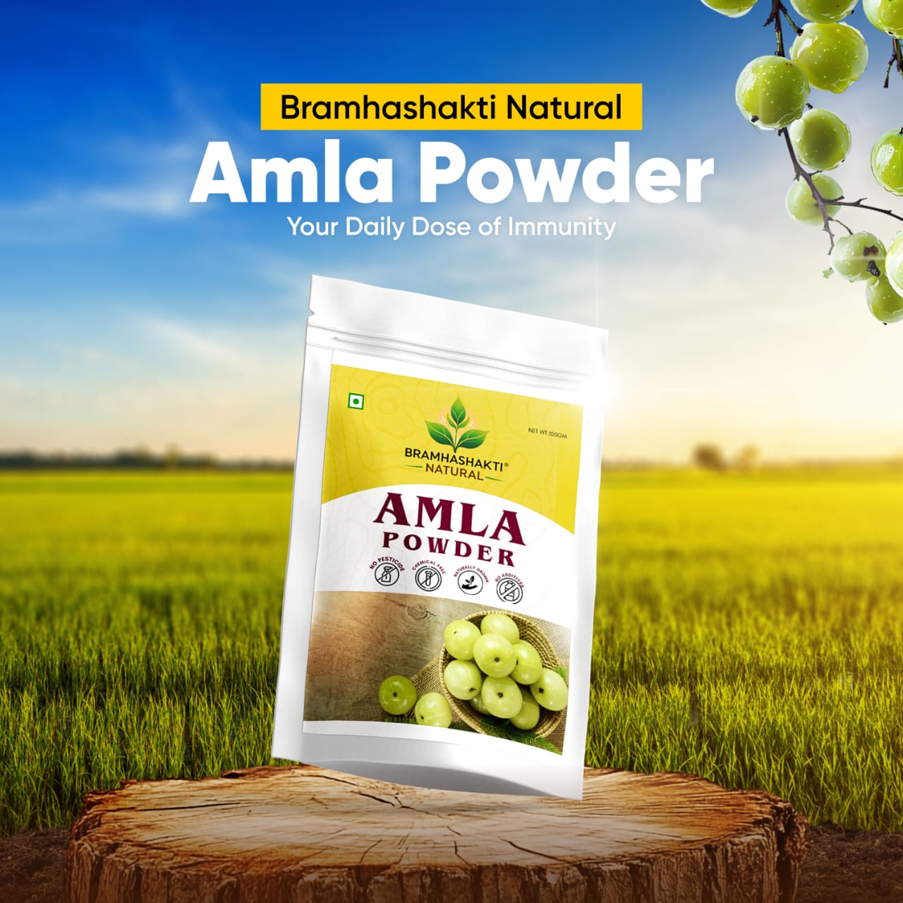 Amla Powder — BRAMHA SHAKTI NATURAL ayurvedic products.